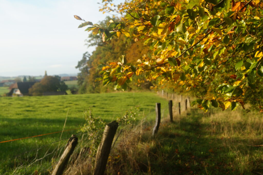 Landfrauen.ch_Paysannes.ch_Natur (1)