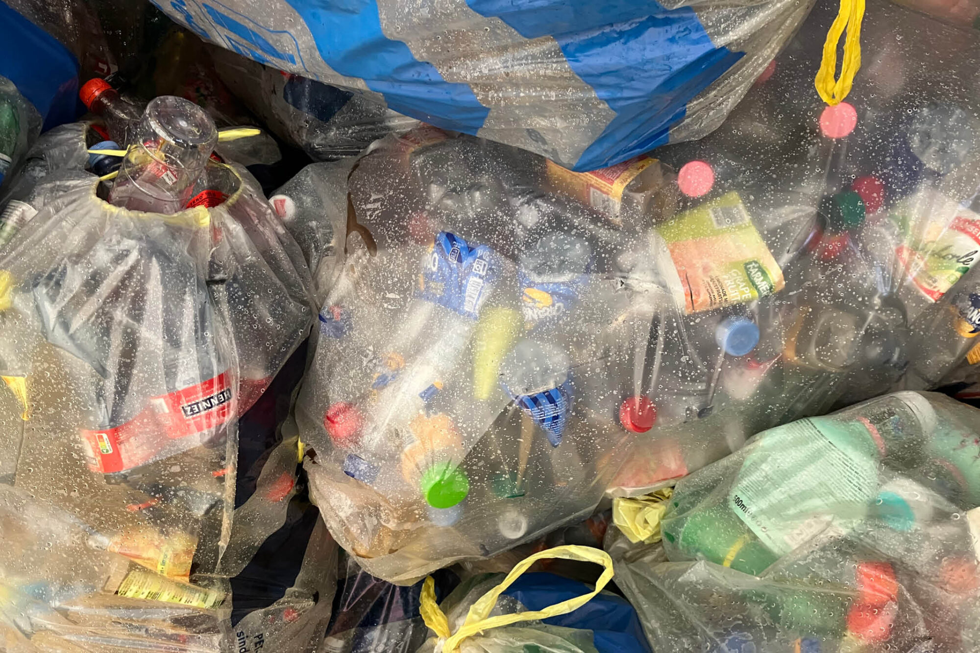 Die Kunst des Recyclings ALMA Tipps & Tricks SBLV